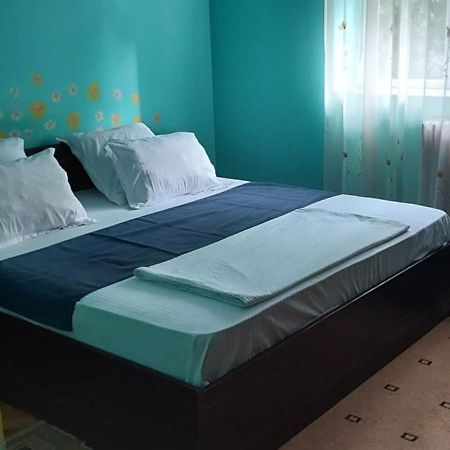 Apartament Gara Mica Appartement Arad Buitenkant foto
