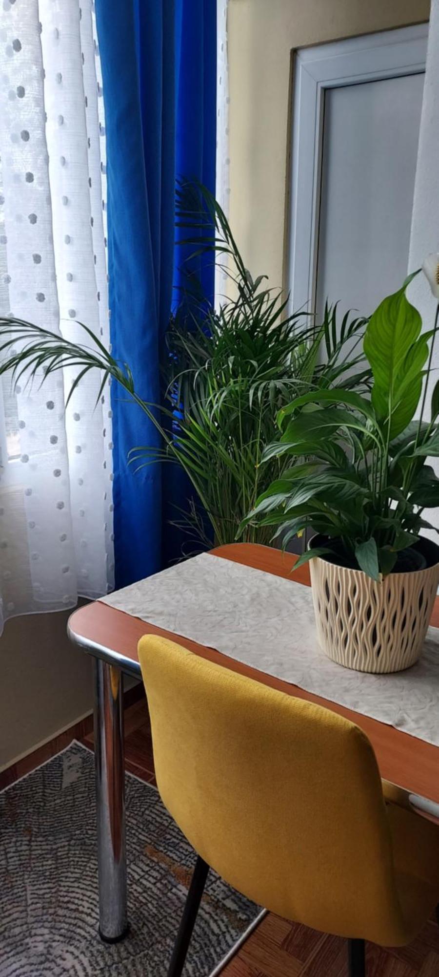 Apartament Gara Mica Appartement Arad Buitenkant foto